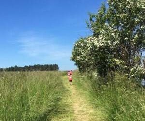 Grundejerforeningen Tovten