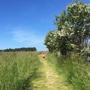 Grundejerforeningen Tovten